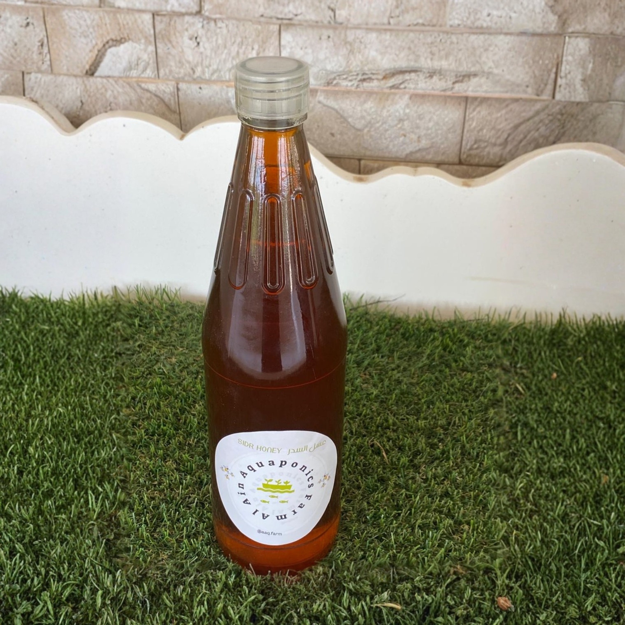 Sidr honey